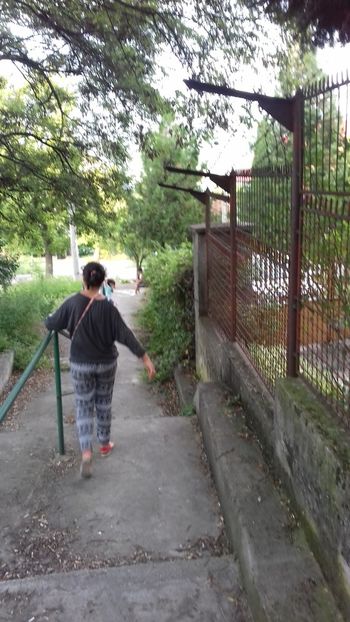  - orsova 1