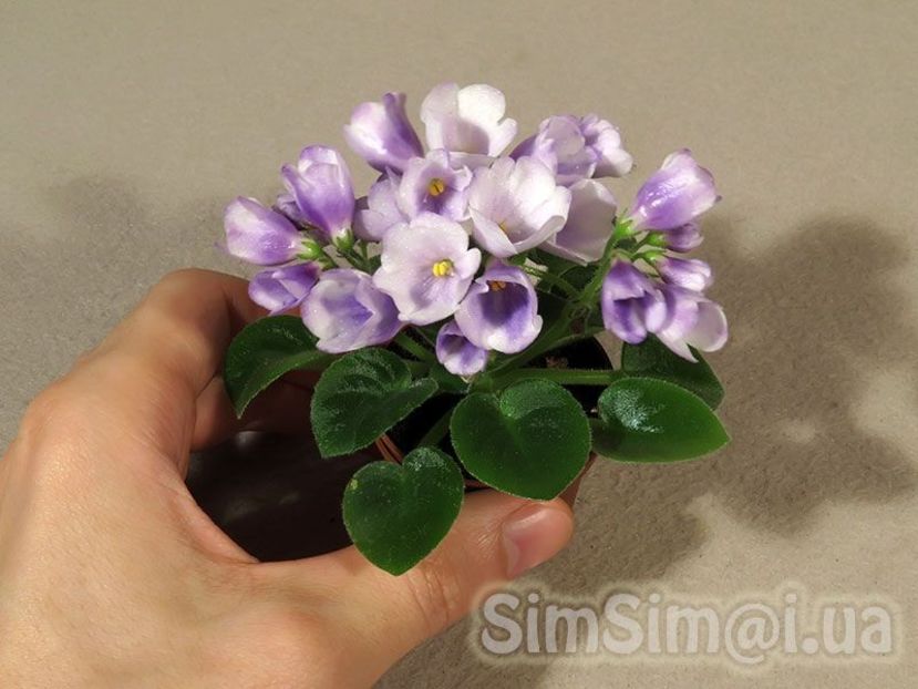 SK Landscape in the Fog poza net - SK Landscape in the Fog