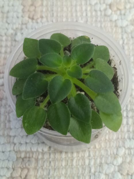 24 oct - SK Landscape in the Fog