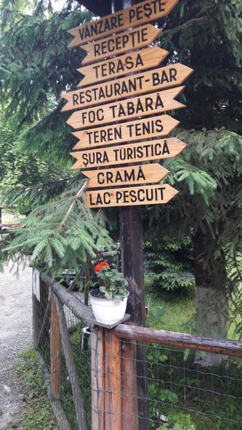 - Concediu 2019 Pastravara Bratioara