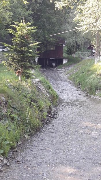  - Concediu 2019 Pastravara Bratioara