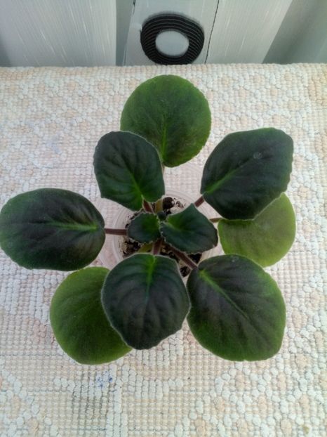 10 oct - RS Underwater Ball