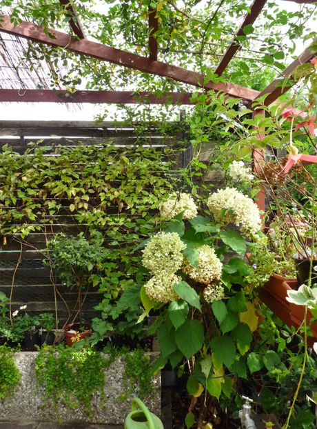  - 2019 - 03 - Toamna