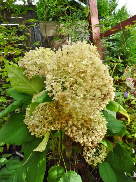  - 2019 - 03 - Toamna