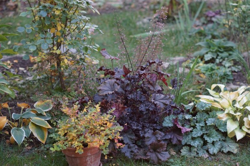  - OCTOMBRIE 2019- OCTOMBRIE 2020