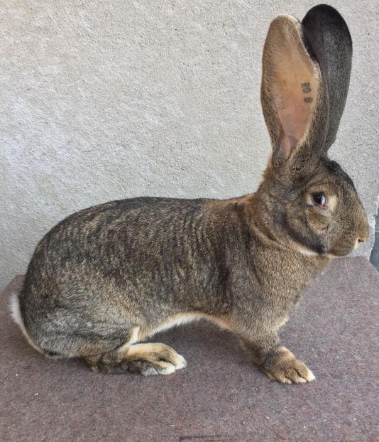 C7A65515-579F-4BCC-A2E5-BAF21B803B70 - RO8-28124