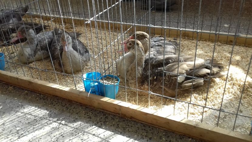  - Expo Kneja Bulgaria 2019