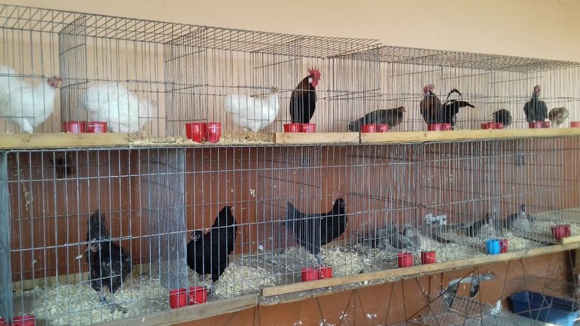  - Expo Kneja Bulgaria 2019