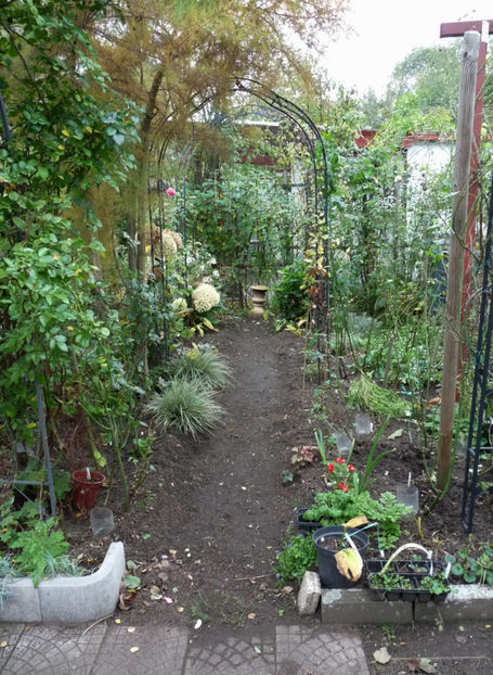  - 2019 - 03 - Toamna