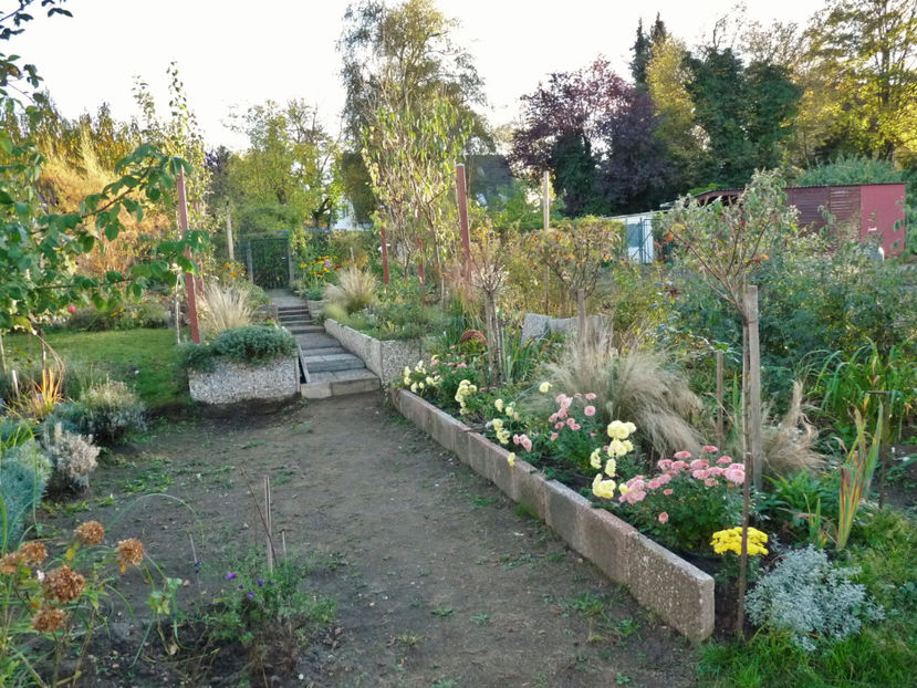  - 2019 - 03 - Toamna