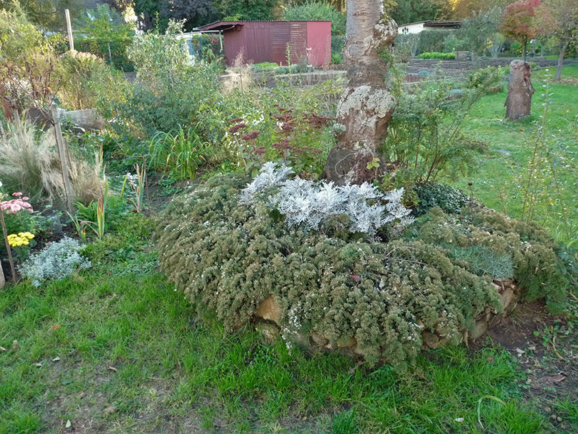  - 2019 - 03 - Toamna