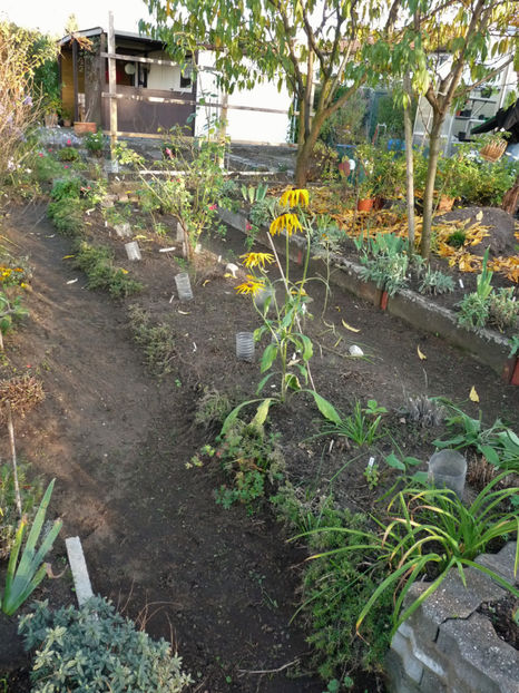  - 2019 - 03 - Toamna