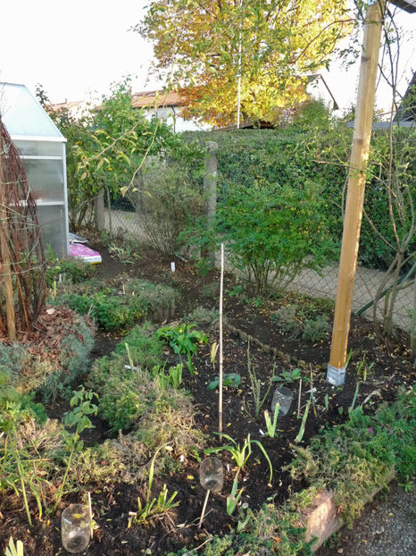  - 2019 - 03 - Toamna