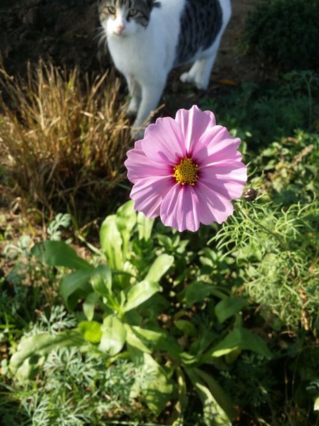  - curtea cu toate cele 2019