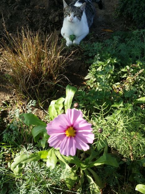  - curtea cu toate cele 2019