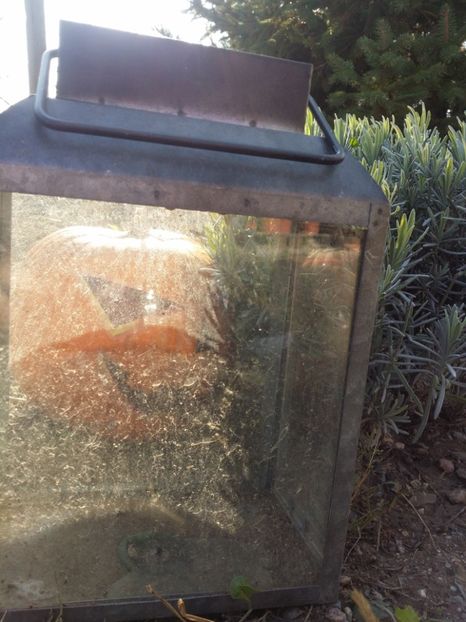  - curtea cu toate cele 2019