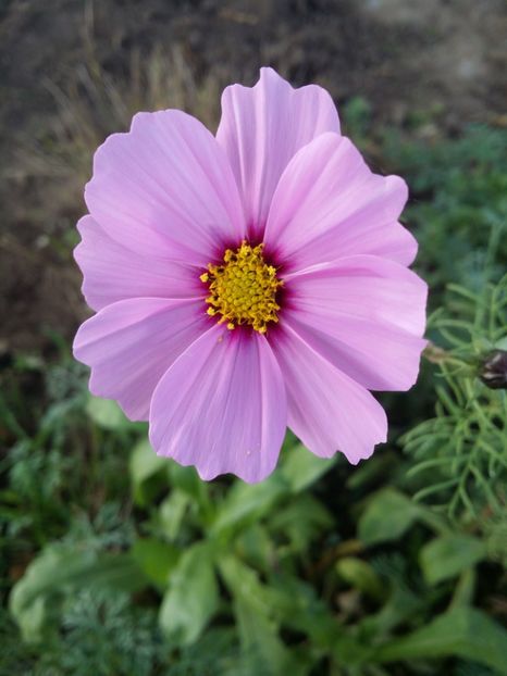  - curtea cu toate cele 2019