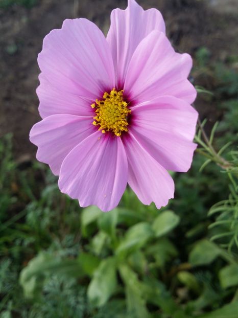  - curtea cu toate cele 2019