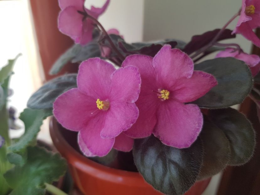 04.06.2019 - Ode To Beauty