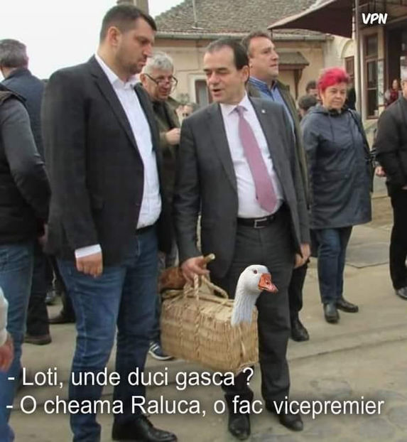  - Poze haioase pamflet