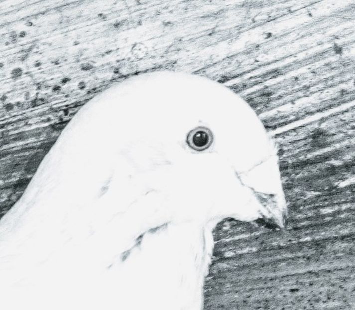  - - A - A - A - A- W A R N I N G !