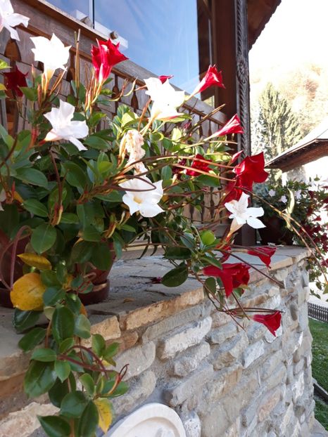  - 2019 - Excursie 26-27 octombrie