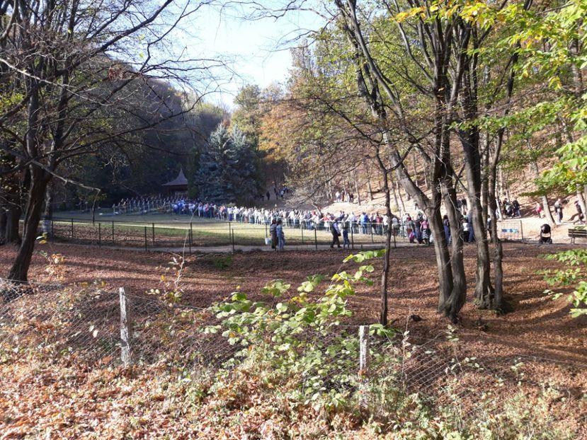  - 2019 - Excursie 26-27 octombrie