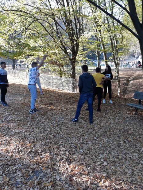  - 2019 - Excursie 26-27 octombrie