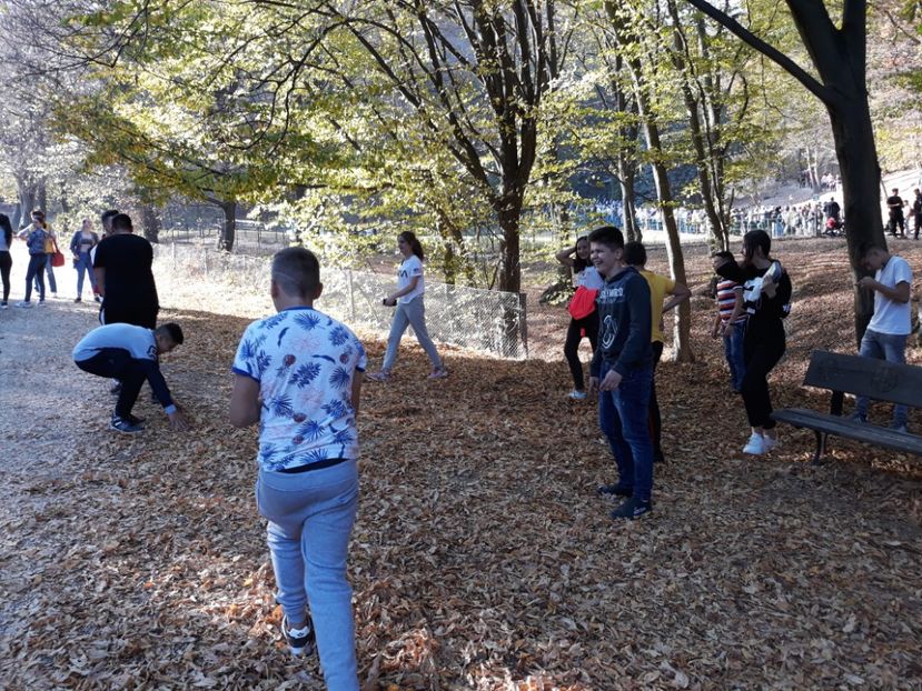  - 2019 - Excursie 26-27 octombrie