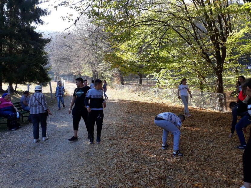  - 2019 - Excursie 26-27 octombrie