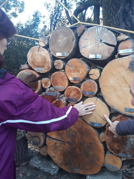  - 2019 - Excursie 26-27 octombrie