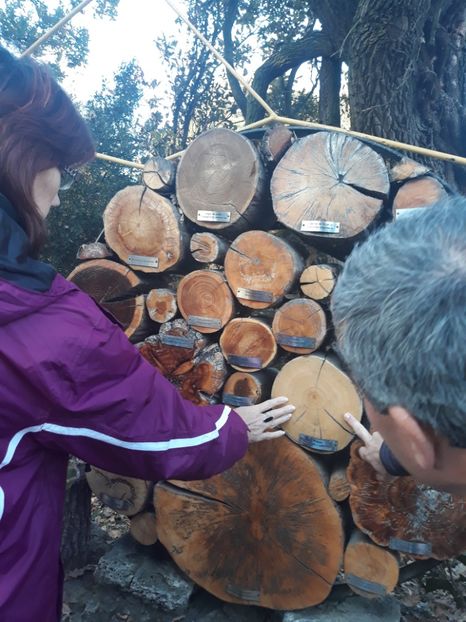  - 2019 - Excursie 26-27 octombrie