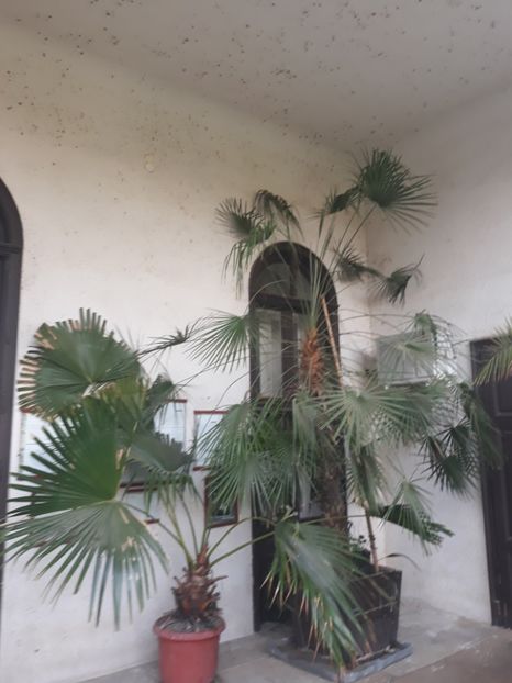  - 2019 - Excursie 26-27 octombrie
