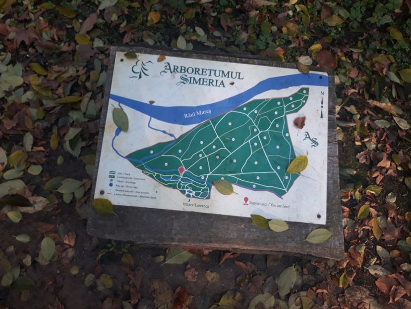  - 2019 - Excursie 26-27 octombrie