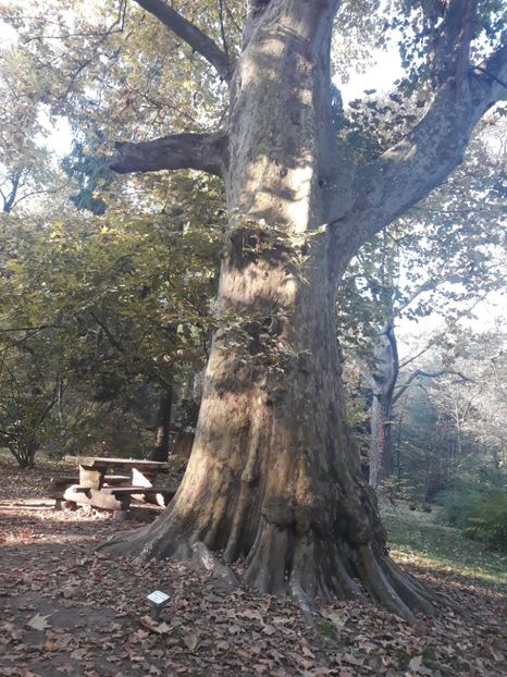  - 2019 - Excursie 26-27 octombrie