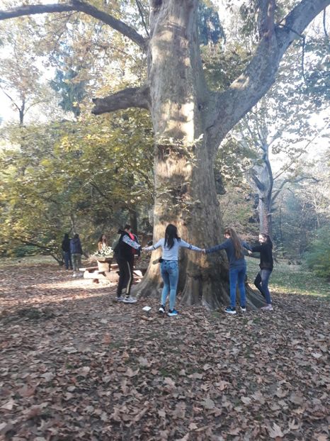  - 2019 - Excursie 26-27 octombrie