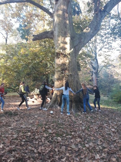  - 2019 - Excursie 26-27 octombrie