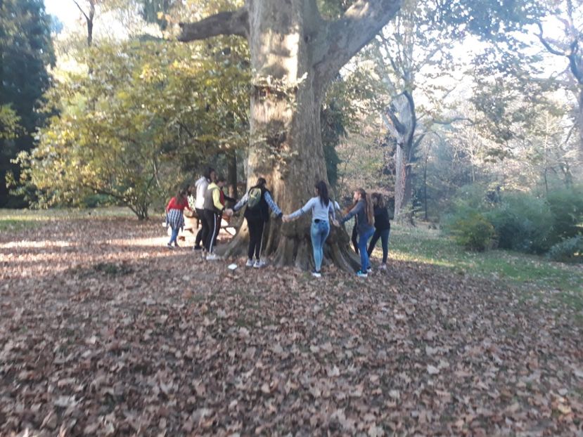  - 2019 - Excursie 26-27 octombrie