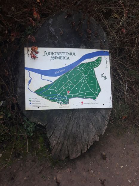  - 2019 - Excursie 26-27 octombrie