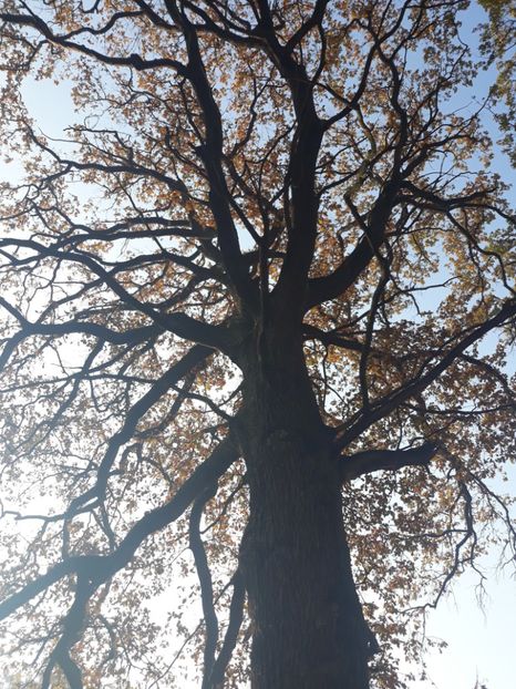  - 2019 - Excursie 26-27 octombrie