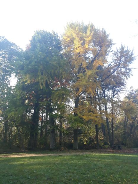  - 2019 - Excursie 26-27 octombrie