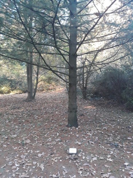  - 2019 - Excursie 26-27 octombrie