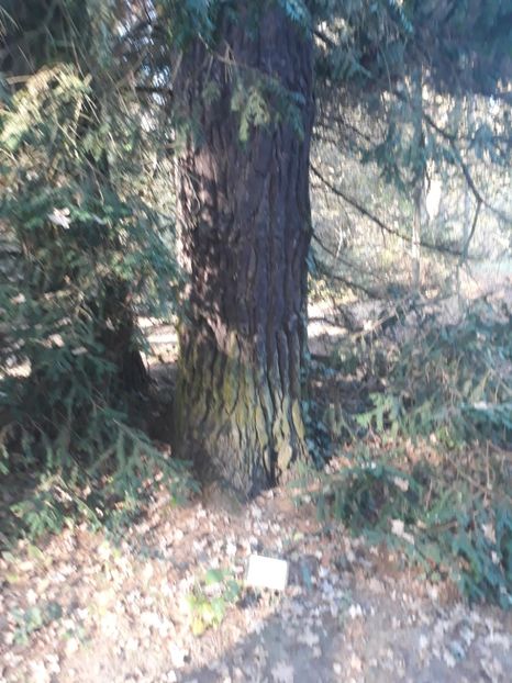  - 2019 - Excursie 26-27 octombrie