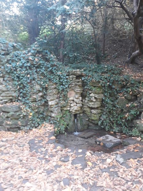  - 2019 - Excursie 26-27 octombrie