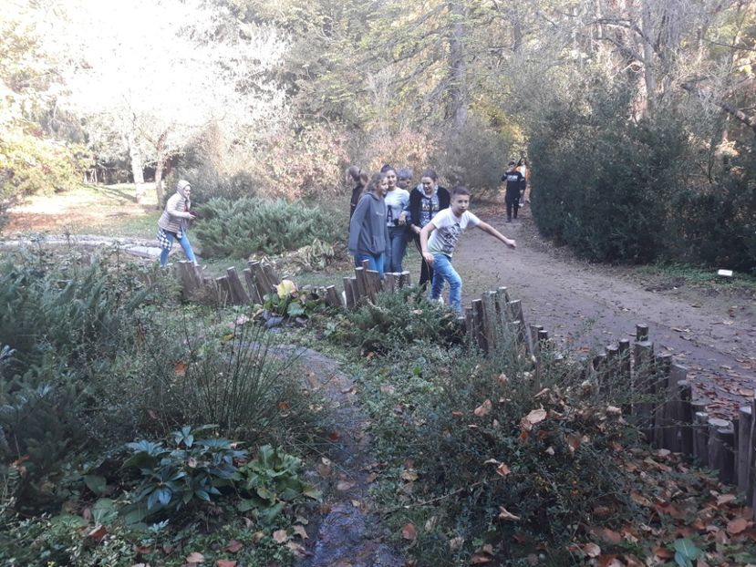  - 2019 - Excursie 26-27 octombrie