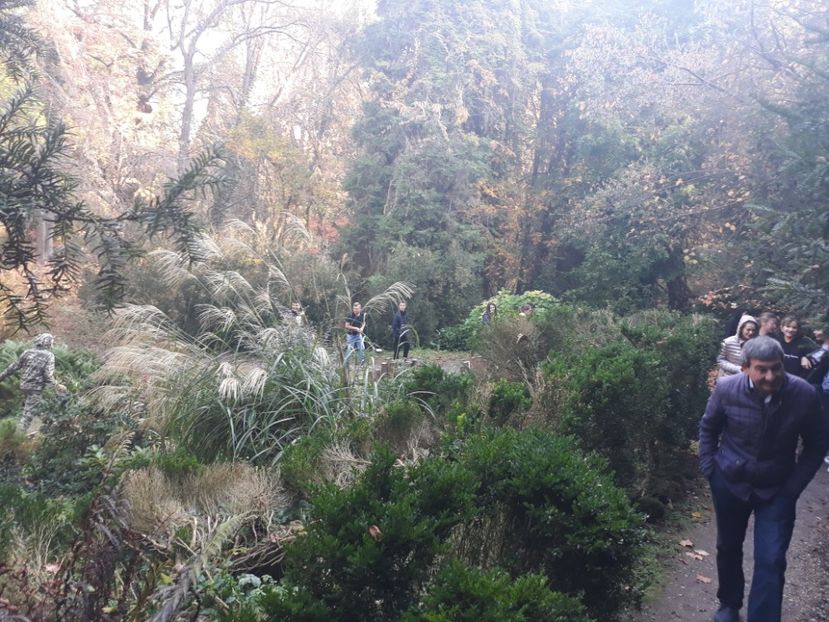  - 2019 - Excursie 26-27 octombrie