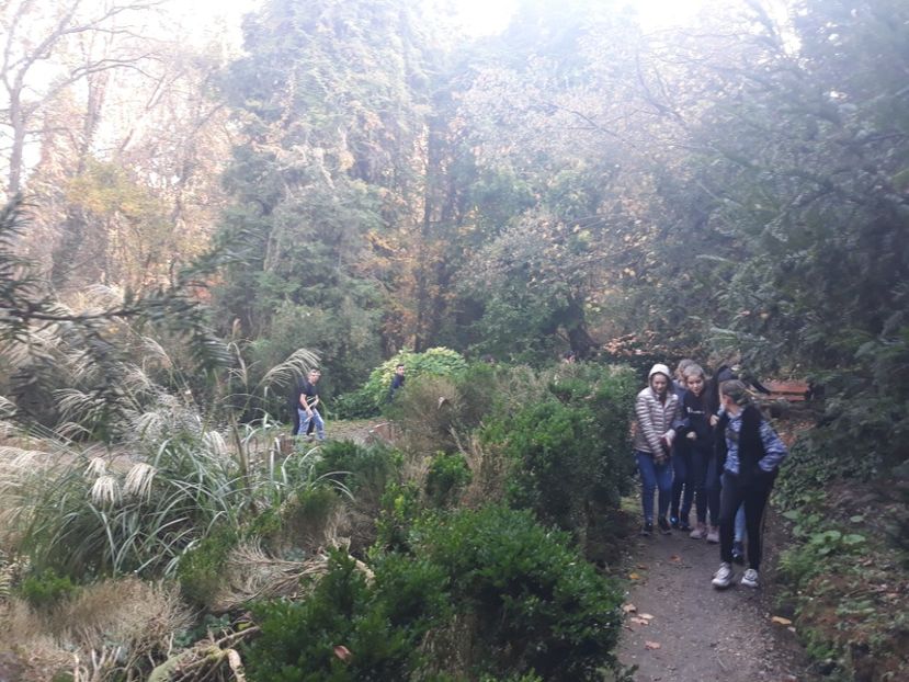  - 2019 - Excursie 26-27 octombrie