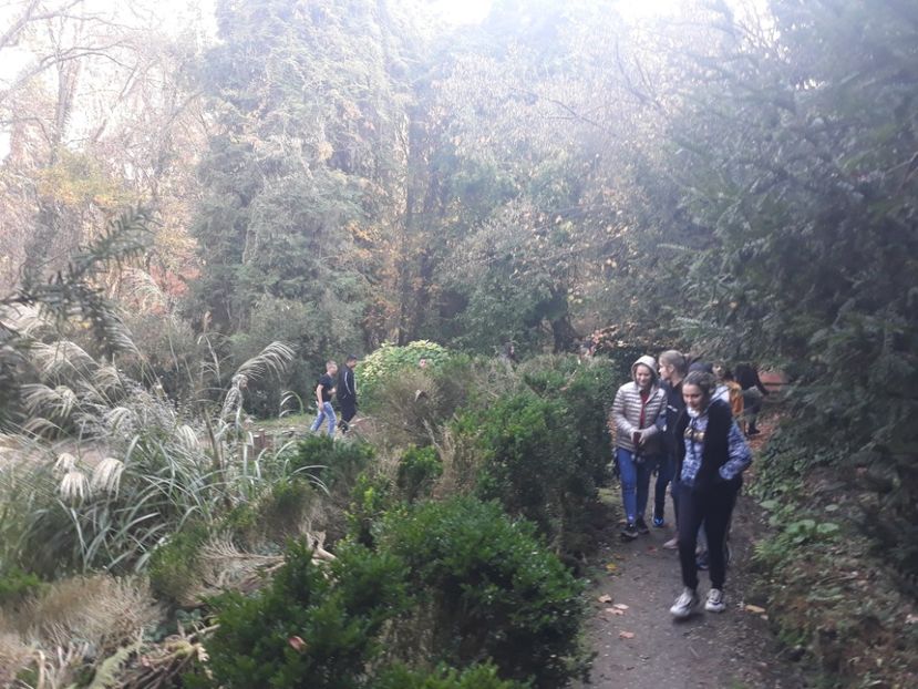  - 2019 - Excursie 26-27 octombrie