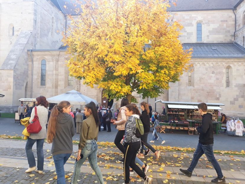  - 2019 - Excursie 26-27 octombrie