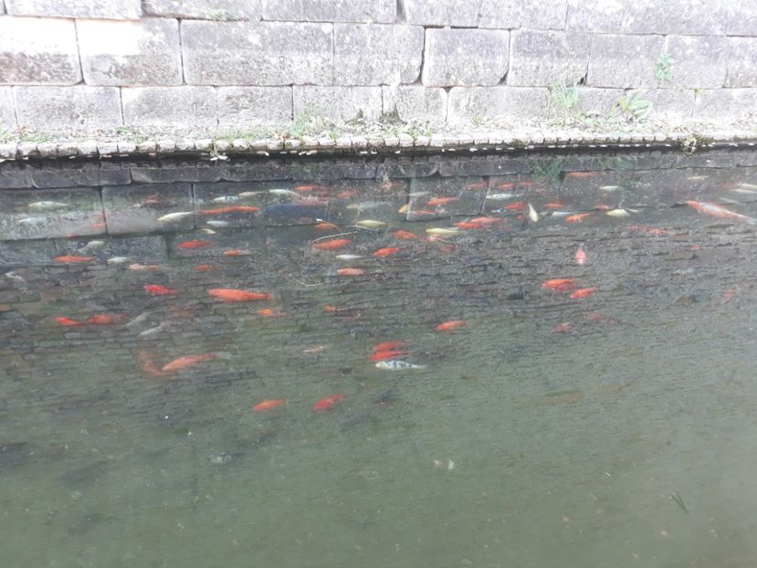  - 2019 - Excursie 26-27 octombrie